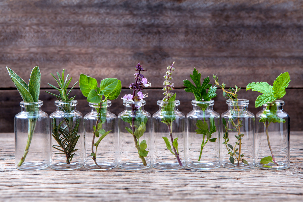 herbs in small jars