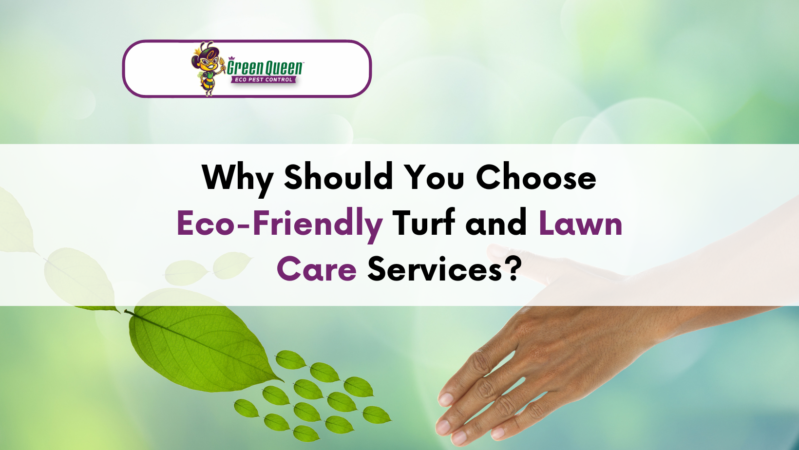 Eco-Friendly Turf and Lawn Care Benefits for Your Home and Environmen