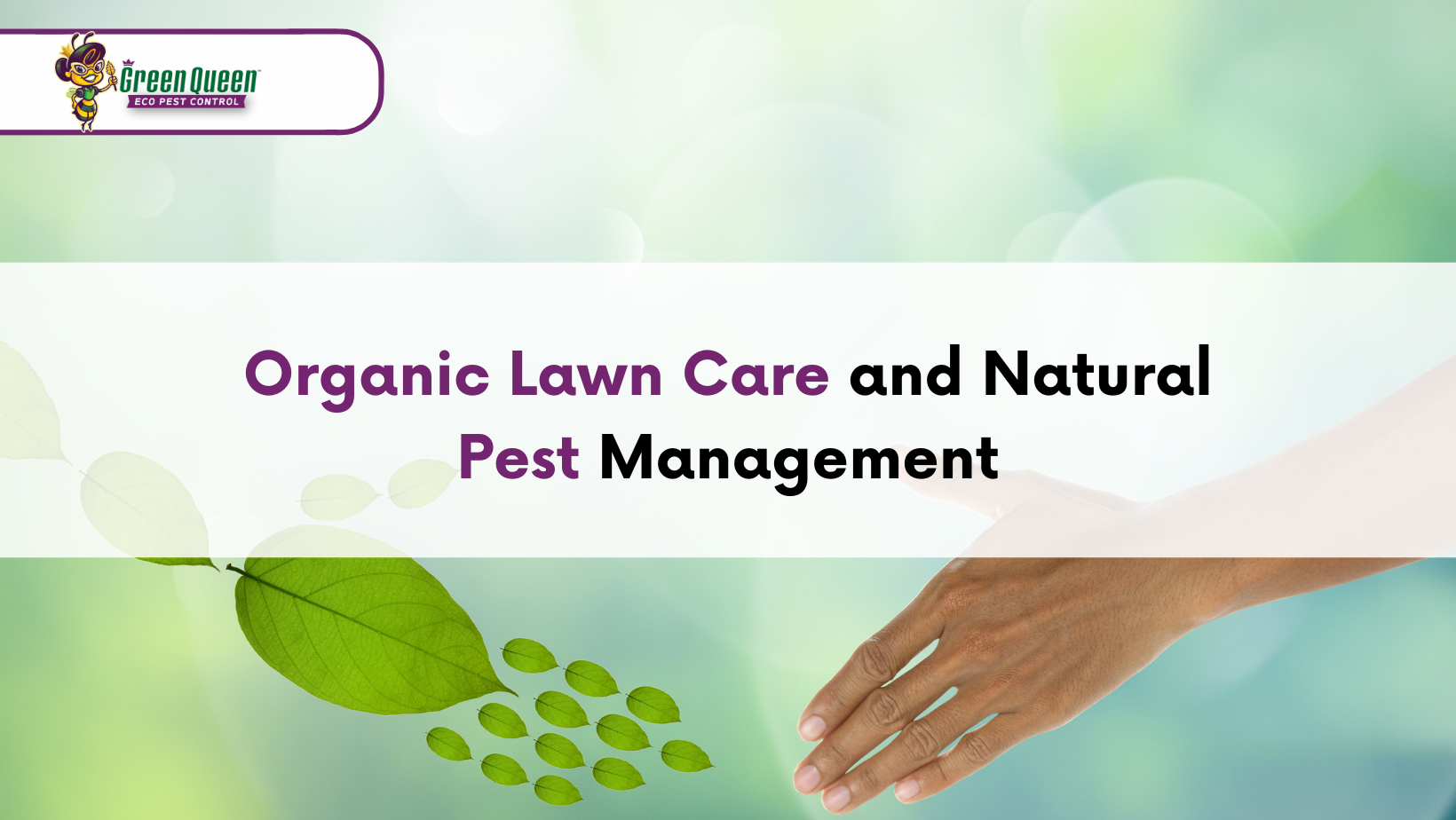 Organic Lawn Care