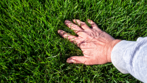 A hand checking for compacted soil