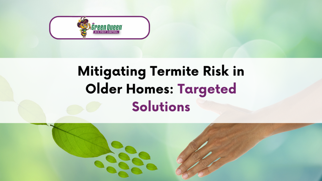 Mitigating Termite Risk in Older Homes: Targeted Solutions